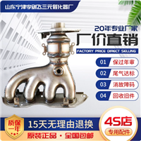 适用众泰Z300三元催化器汽车尾气净化器