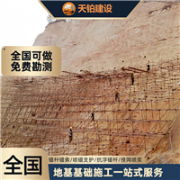 重庆挂网喷浆厂家联系地址 联系电话上海天铂