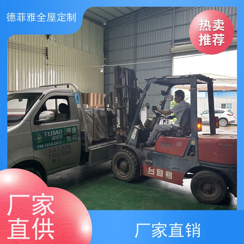 佛山德菲雅 全屋整装 厂家 提供多样化设计方案 团队安装