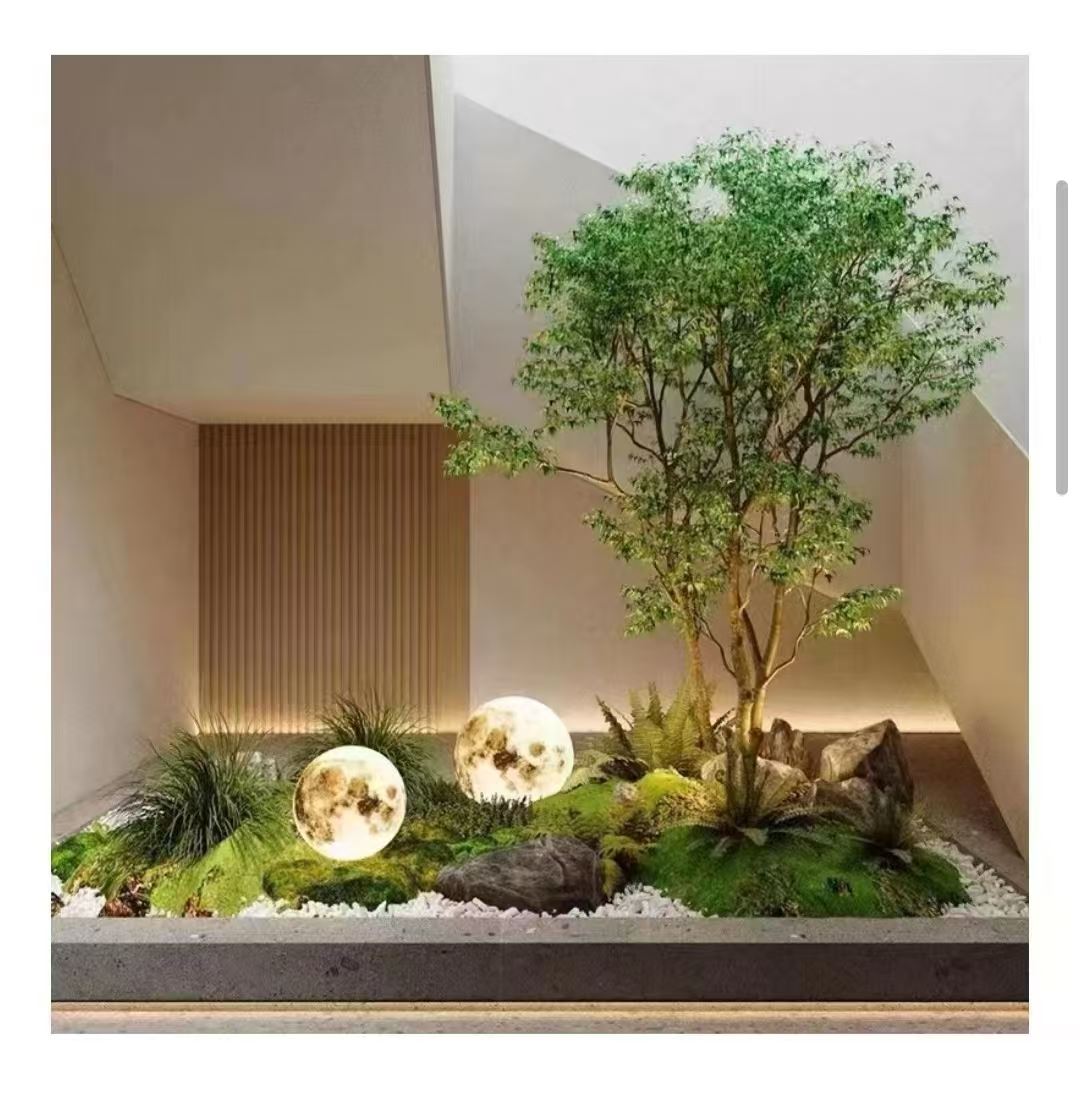 室内绿植造景 款式多样