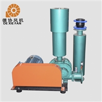 双级高压罗茨鼓风机 罗茨式鼓风机 德协