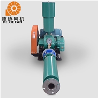 污水处理罗茨鼓风机 煤气罗茨鼓风机 印染厂罗茨风机 德协