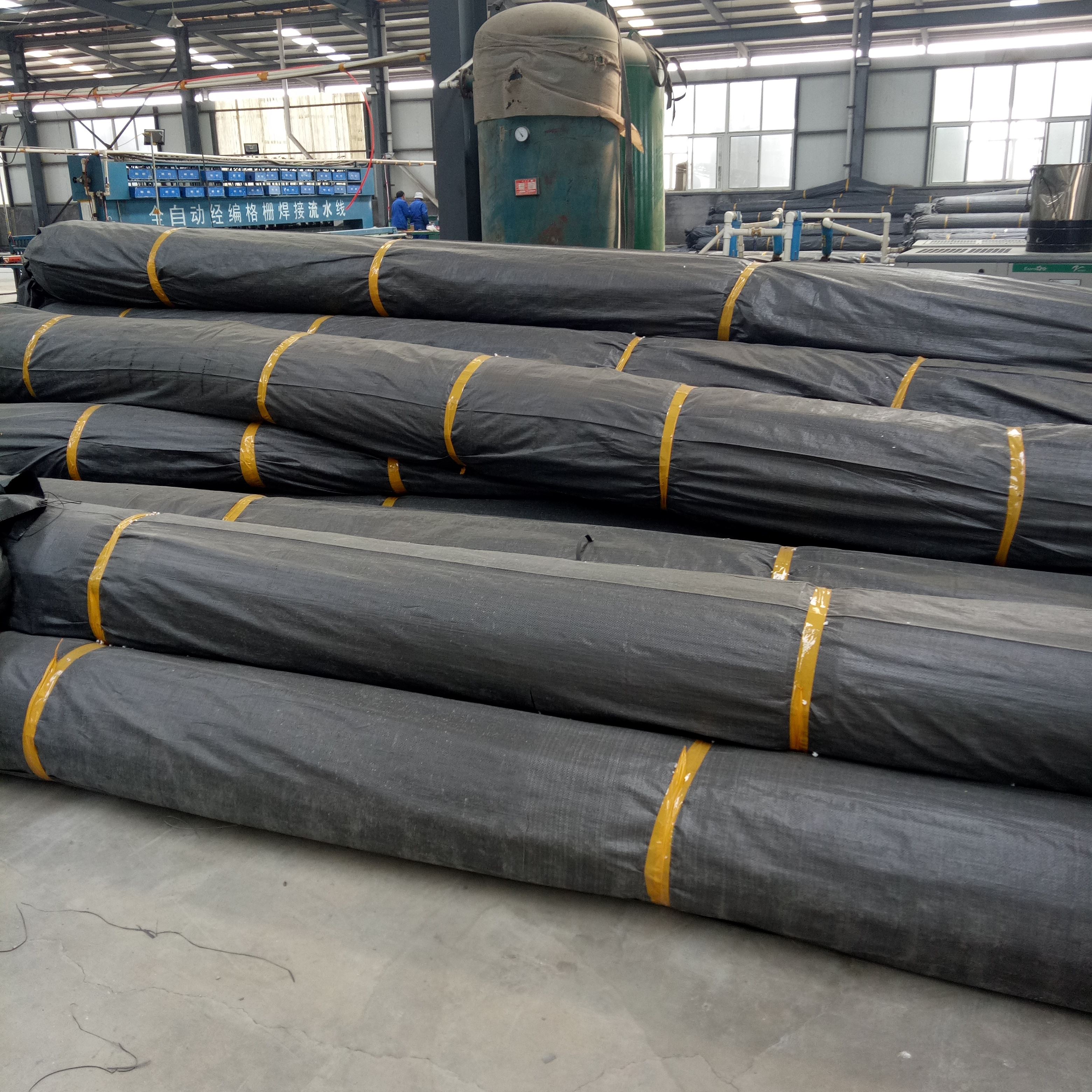 福建 4根钢丝土工格栅 厂家