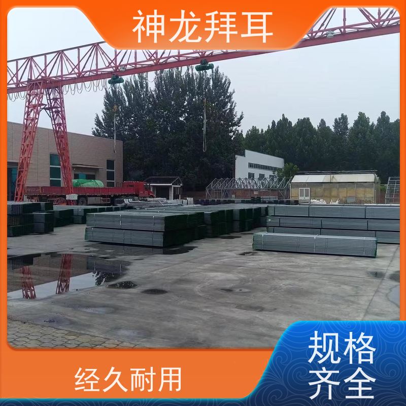 神龙拜耳 光伏支架 工厂 免费升级 批发