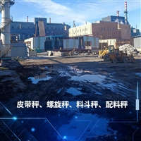 吉林皮带秤 流量秤 电子皮带磅