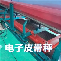 黑龙江皮带秤厂家