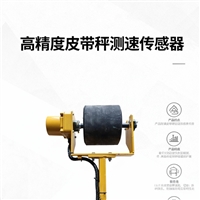 七台河防爆皮带秤生产厂家