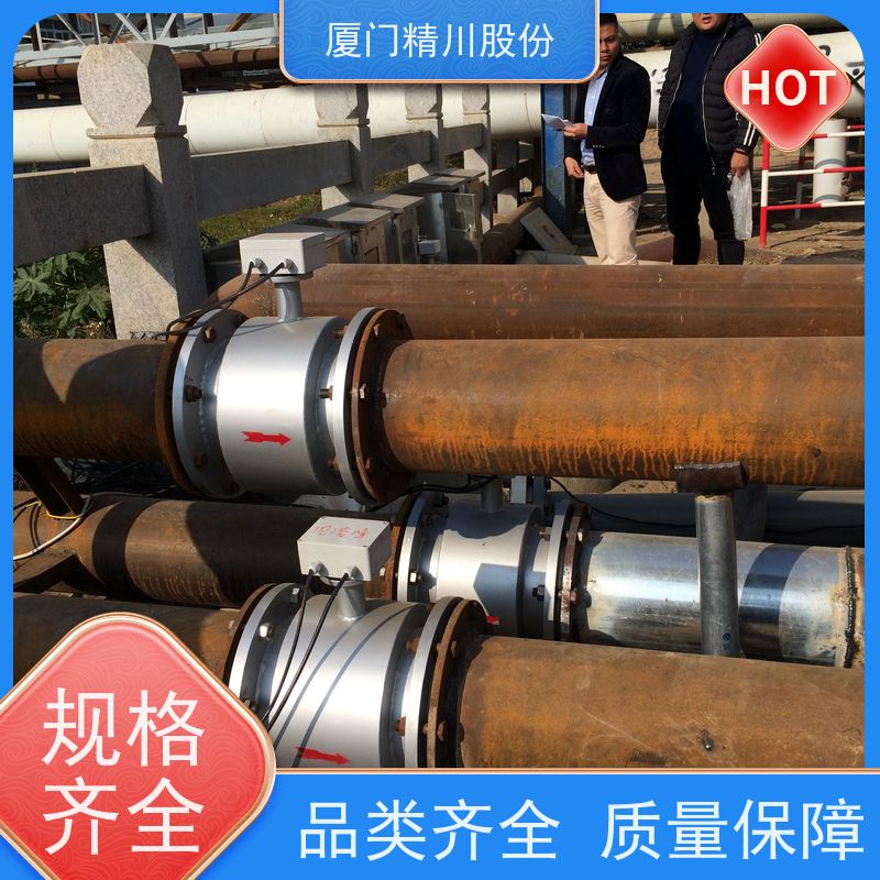 精川股份制药行业PAM加注流量计一对一检测避免计量精度不足