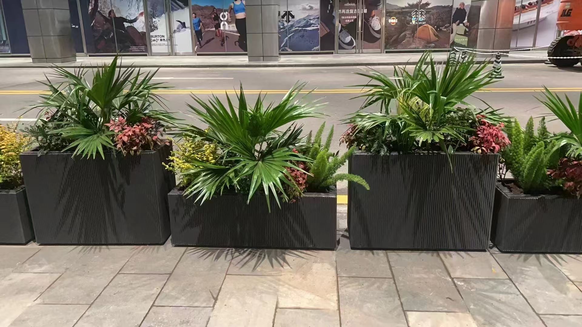 室内绿植造景 上门施工