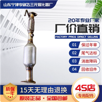 适用于金杯海狮X30L T30 T32 T50 T52 新海狮三元催化器保验车