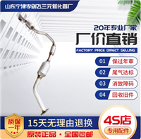 适用于东风风行菱智M3 V3 M5 1.5 1.6 2.0L三元催化器保验车