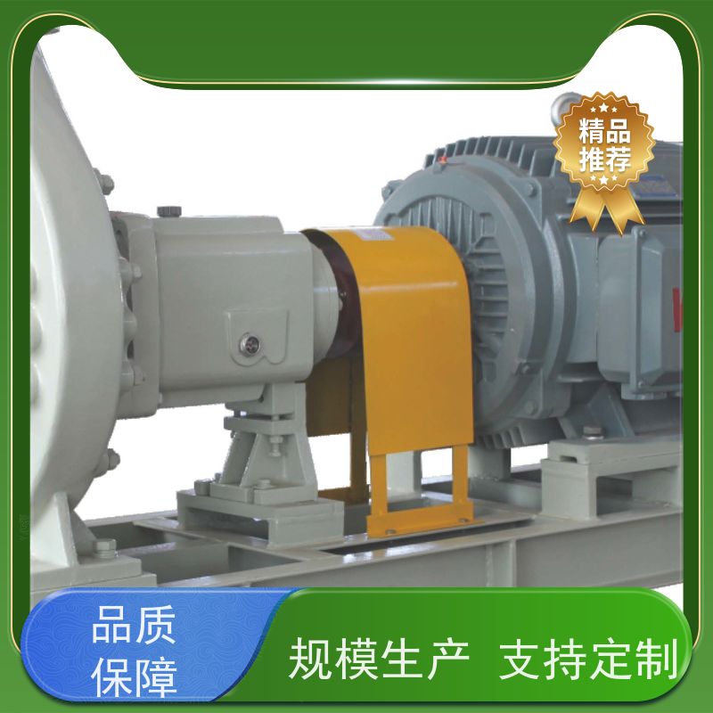 南方 转子泵改造 衬陶塑合金 1200小时连续运行 品牌电机