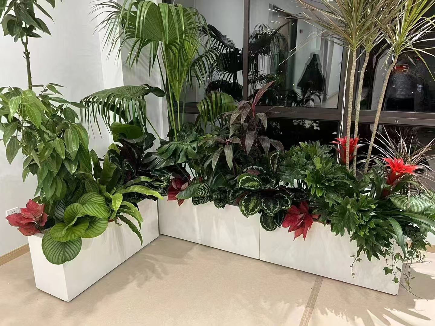 室内绿植造景 支持定制