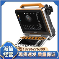 鱼用b超仪  实验鱼泡心脏彩超机 鲟鱼B超机 锦鲤超声诊断仪