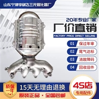 适用于现代起亚赛拉图 伊兰特 VVT 千里马 途胜三元催化器保年审
