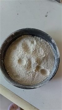 微生物菌种 污水处理用菌种 除磷降COD降总氮除磷
