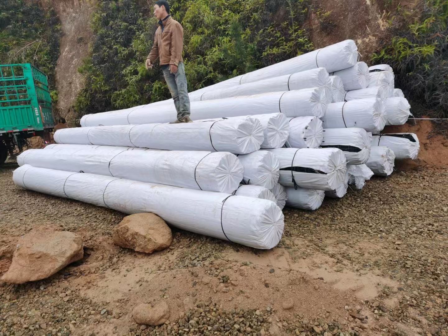 辽宁 单向钢塑格栅 产地货源