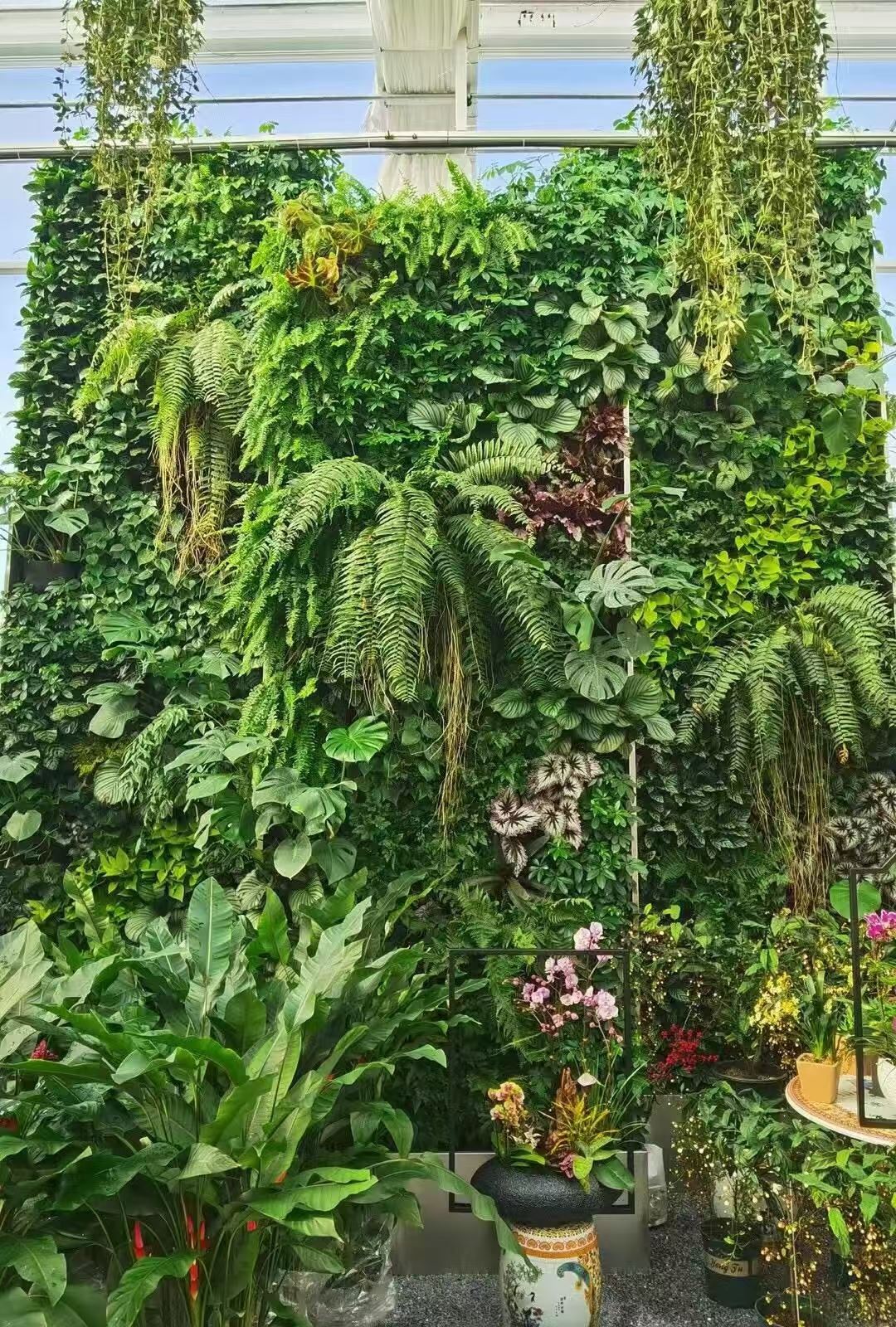 镇江 立体绿植墙  批发价格