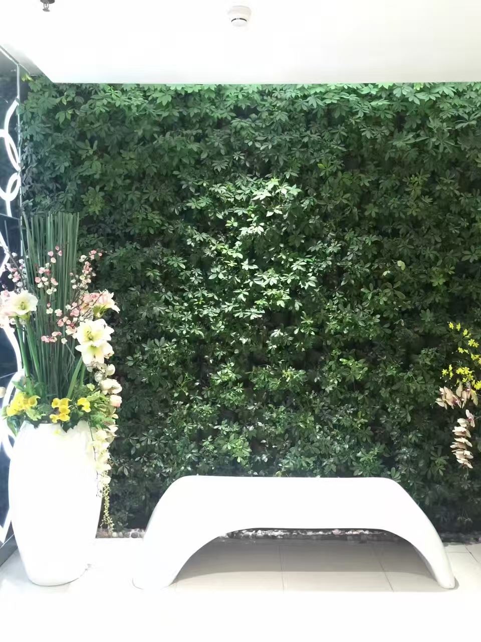 宁波 墙面绿化  规格可定制