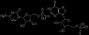 供应双链聚肌胞