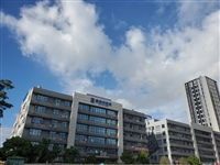 蛇口赤湾鼎海双创港2200平一手办公室出租55元每平