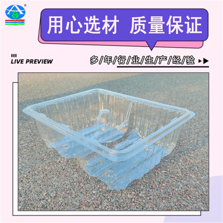 大号整理盒 糕点零食分装盒 PET塑料透明盒多种功能用途