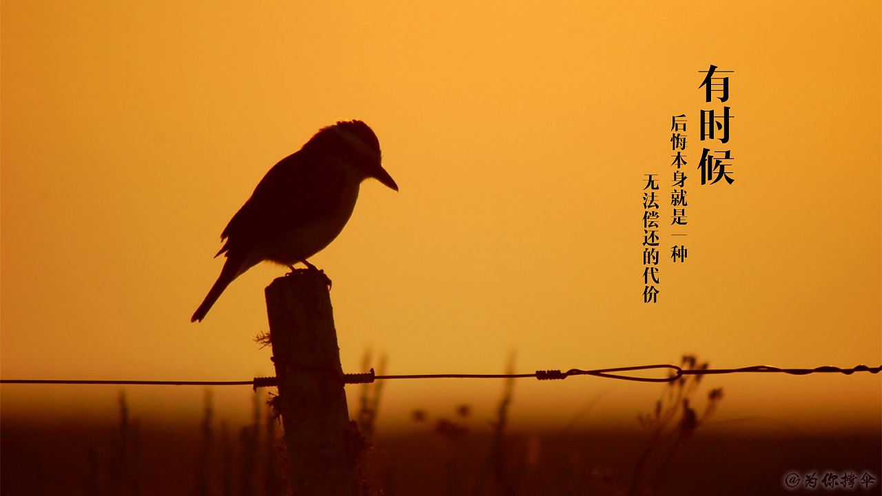稳压电源SWP-DFY-TF241515A
