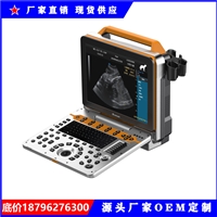 兽用彩超机 鱼类彩超机 鱼性腺检测 鱼的肌肉和脂肪含量检查