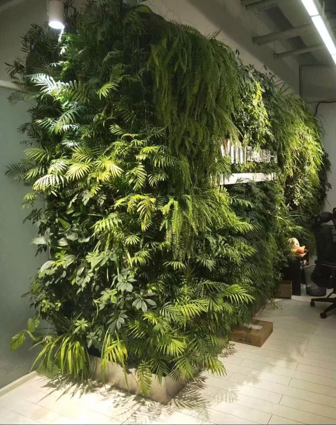 徐州 室内绿植景观  厂家