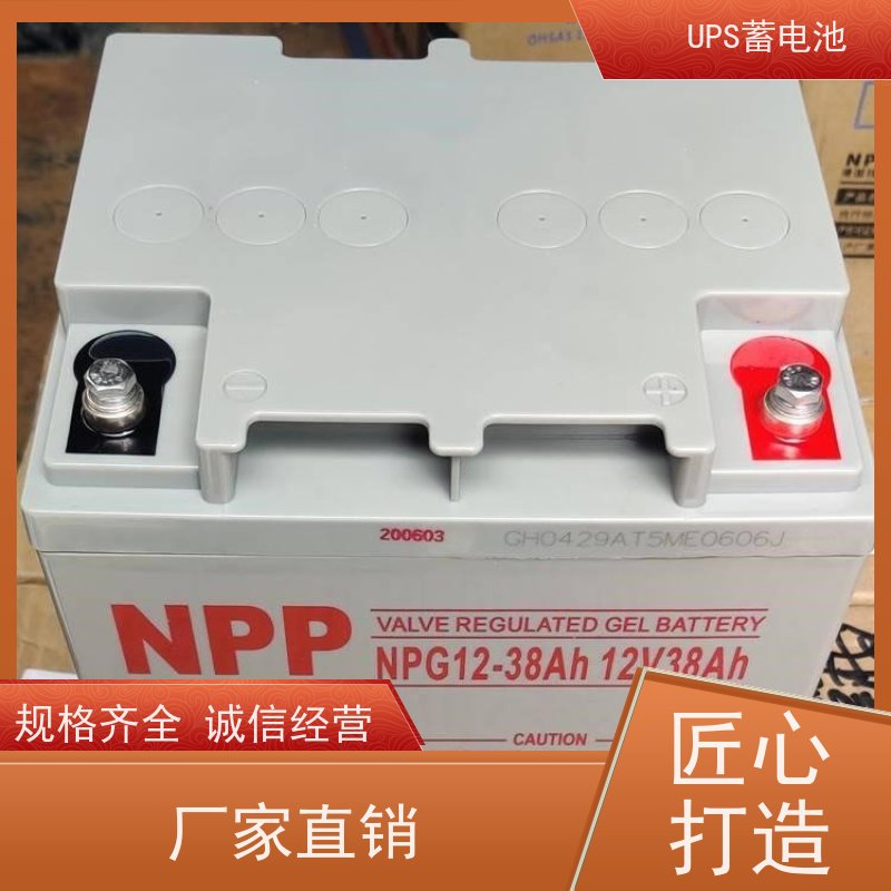UPS电池 NPG12-250  铅酸胶体阀控式 安装维修维护