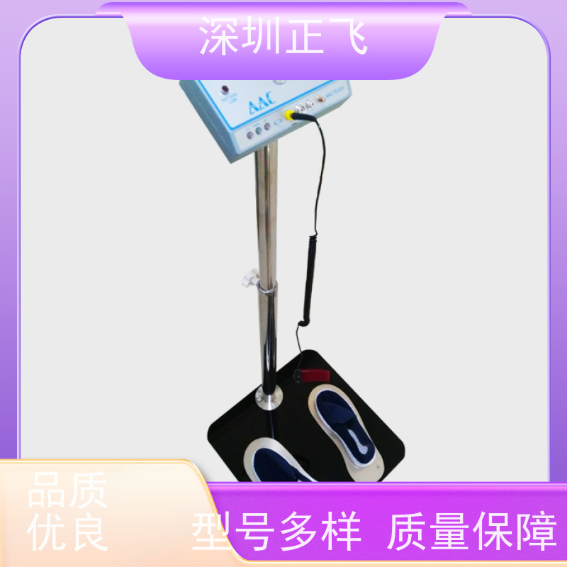 深圳正飞 手腕带/静电鞋检测 人体静电测试仪 电子厂常用 普通款