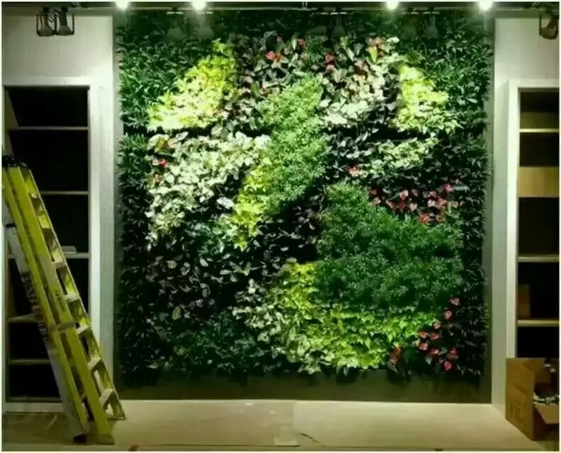 扬州 室内绿植景观  工厂货源