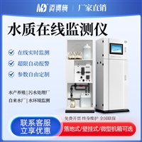水质在线监测仪 工业污水在线 余氯重金属氟化物挥发酚 多参数分析