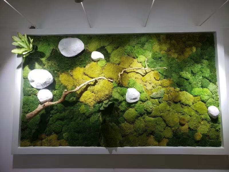 江苏 苔藓地毯  生产厂家