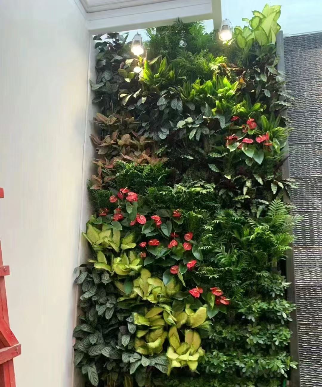 温州 室内绿植造景  价格实惠