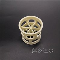 PPH拉鲁环填料