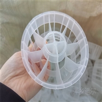 特殊塑料阶梯环填料