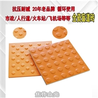 耐酸砖 全瓷盲道砖