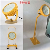 BAD97防爆免维护LED泛光灯 粉尘喷漆车间三防灯50W100W