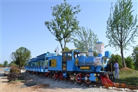 安徽抹茶村轨道小火车