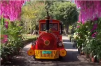 纵深花海的小火车