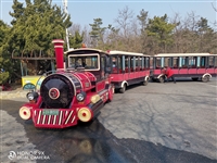 辽宁观景台观光小火车