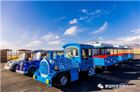 茶卡蓝色轮式小火车