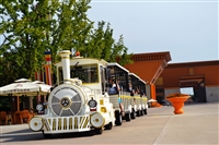 陕西宝鸡观光小火车