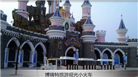 杭州乐园小火车案例