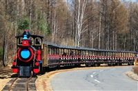 国家森林公园 博瑞特小火车 