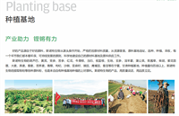 种植基地