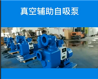 真空辅助自吸泵