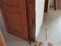 上海柚木地板损坏更换 拆除损坏地板 恢复   