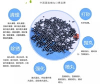 钢丸 合金钢丸S460 抛丸机安蓝地品牌
